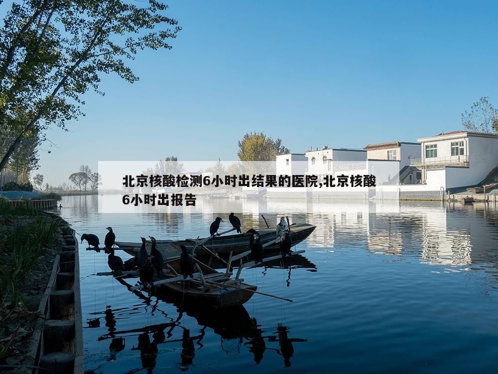 北京核酸检测6小时出结果的医院,北京核酸6小时出报告