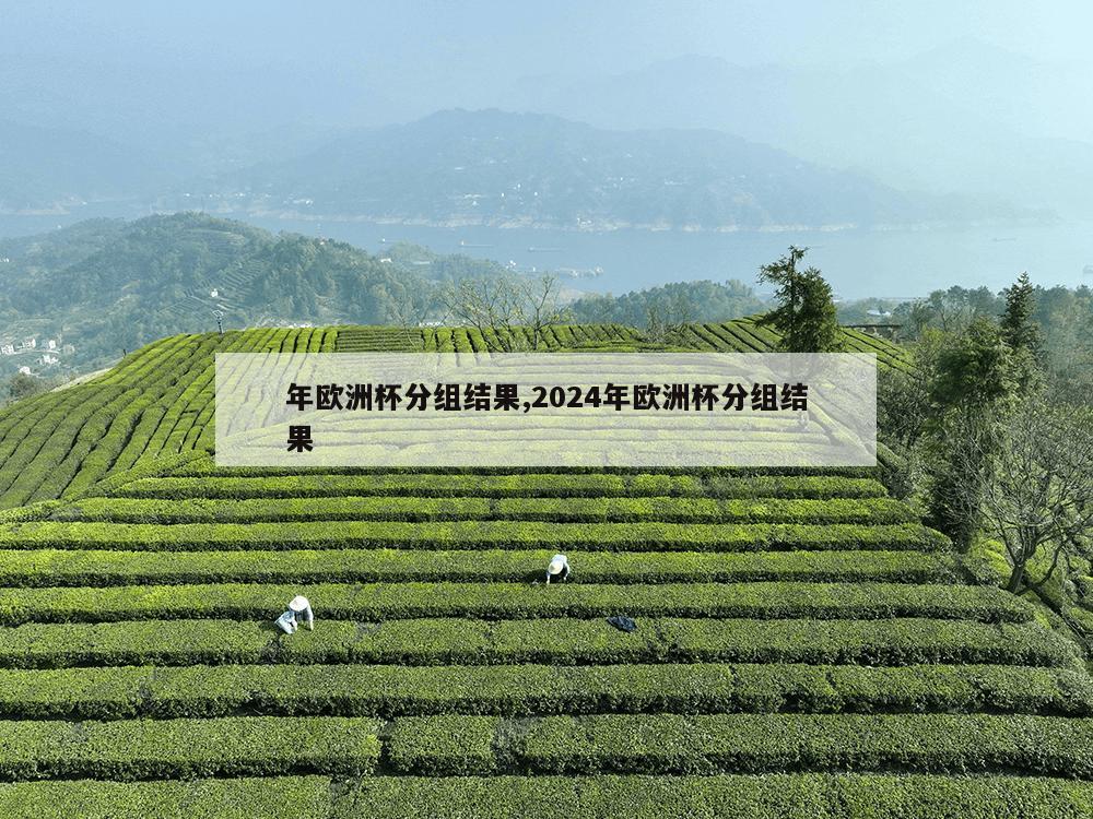 年欧洲杯分组结果,2024年欧洲杯分组结果