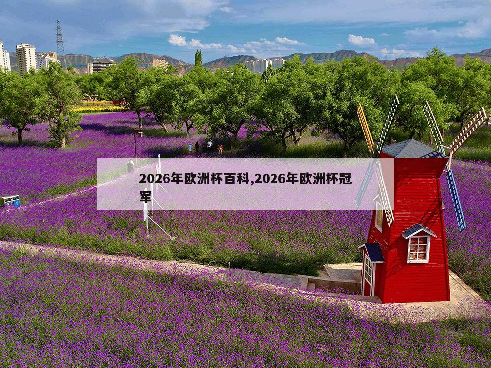 2026年欧洲杯百科,2026年欧洲杯冠军