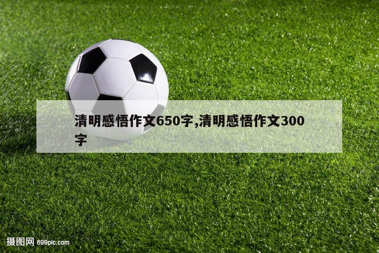 清明感悟作文650字,清明感悟作文300字