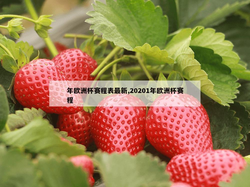 年欧洲杯赛程表最新,20201年欧洲杯赛程