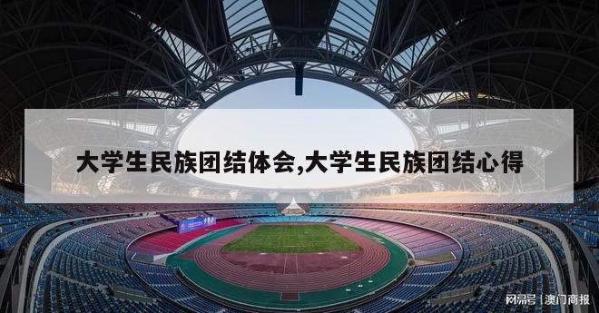 大学生民族团结体会,大学生民族团结心得