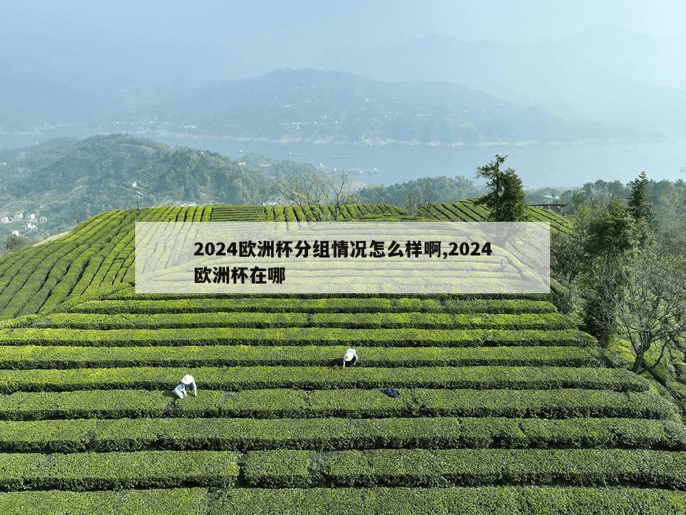 2024欧洲杯分组情况怎么样啊,2024欧洲杯在哪