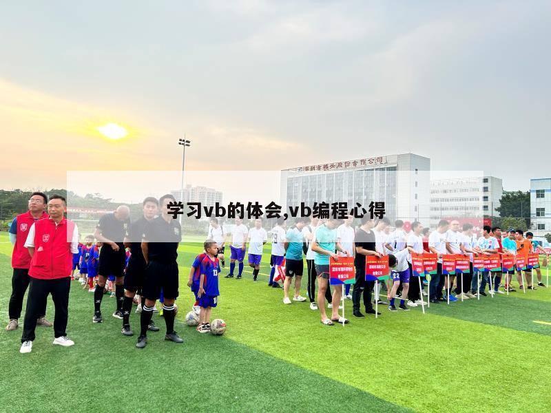 学习vb的体会,vb编程心得