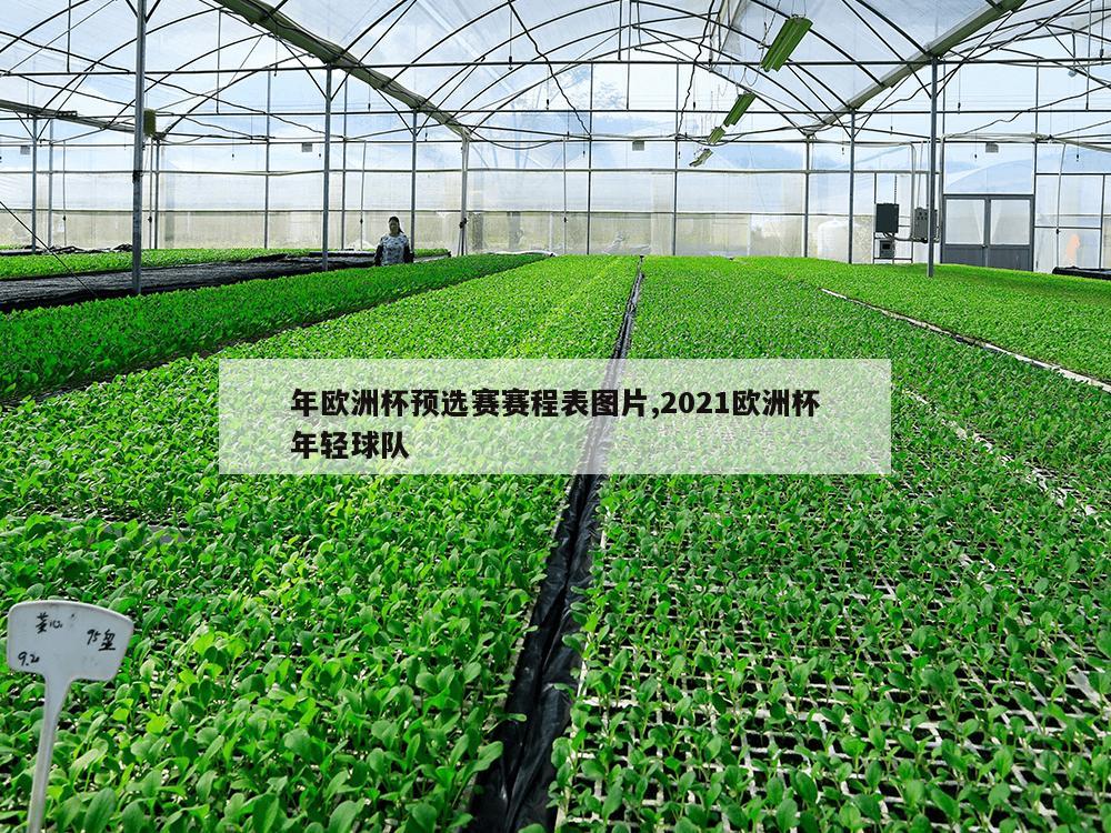 年欧洲杯预选赛赛程表图片,2021欧洲杯年轻球队