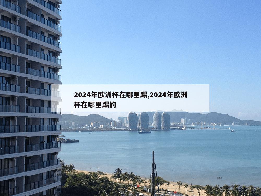 2024年欧洲杯在哪里踢,2024年欧洲杯在哪里踢的