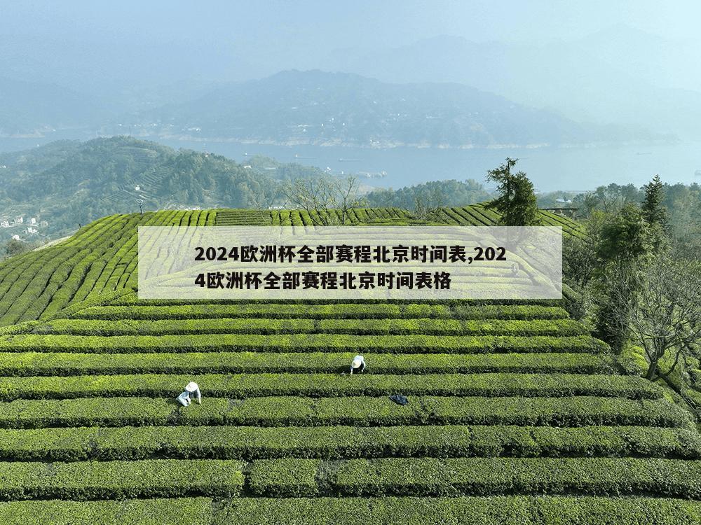 2024欧洲杯全部赛程北京时间表,2024欧洲杯全部赛程北京时间表格